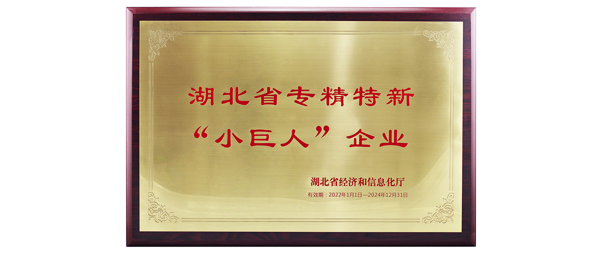 邁信電氣獲湖北省專精特新“小巨人”企業(yè)榮譽稱號